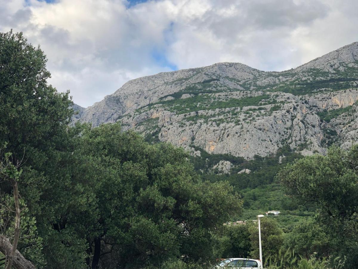 Apartment Flora Μακάρσκα Εξωτερικό φωτογραφία